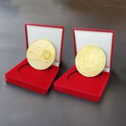 Coin badge