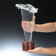 Crystal Car Show trophy
