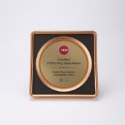 Excellent team award