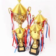 Game Trophies