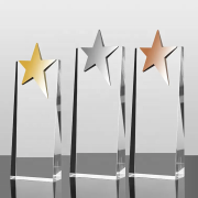 Gold Star Trophy
