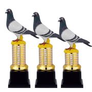 Pigeon Trophy custom