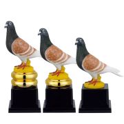 Pigeon Trophy custom