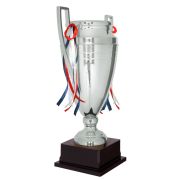 Silver trophy