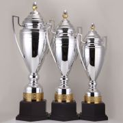 Silver trophy