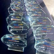 Swimming trophy