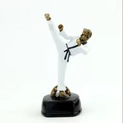 Taekwondo Trophy