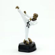 Taekwondo Trophy
