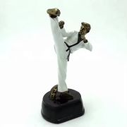 Taekwondo Trophy