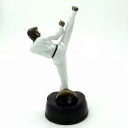 Taekwondo Trophy