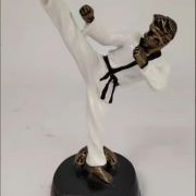 Taekwondo Trophy