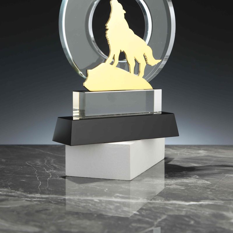 Wolf Awards