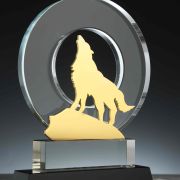 Wolf Awards