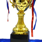 billiards trophies and awards​