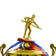 billiards trophies and awards​