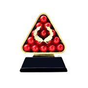 billiards trophy