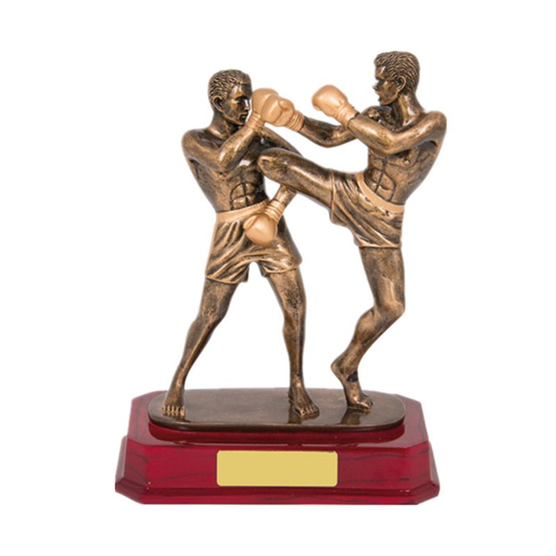boxing champion trophy