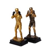 boxing trophy