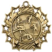 bronze star medallion