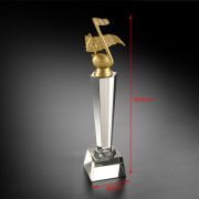 country music awards trophy