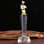 country music awards trophy
