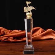 country music awards trophy
