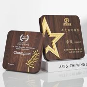 craft wooden plaques