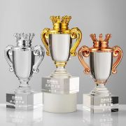 cup trophy​
