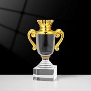 cup trophy​