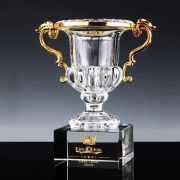 cup trophy​