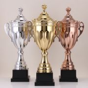 custom awards and trophies
