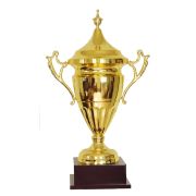 custom metal trophies​