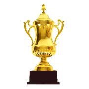 custom metal trophies​