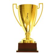 custom metal trophies​