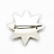 custom nurse refrence badge