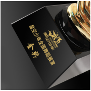 dance and drama awards​