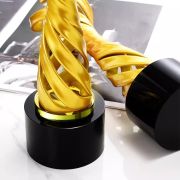 dance comp awards​
