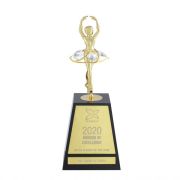 dance team awards​