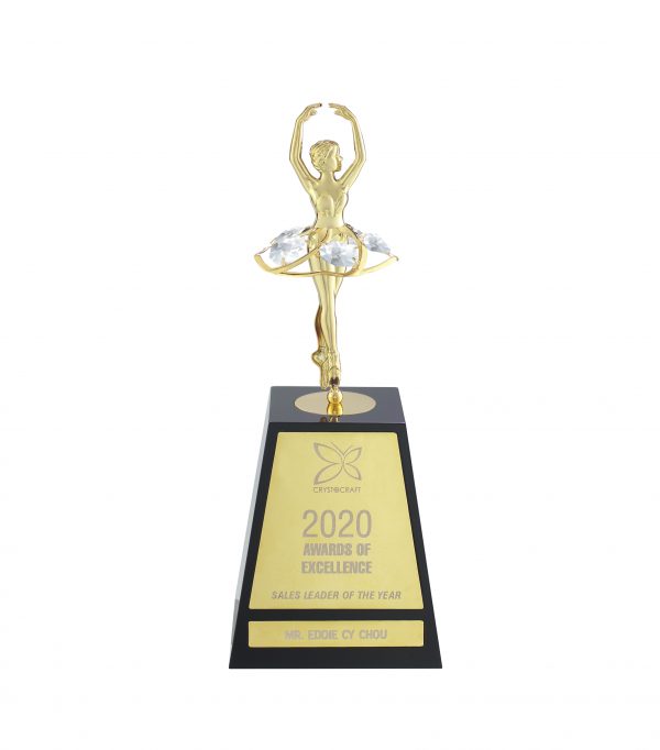dance team awards​