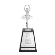 dance team awards​