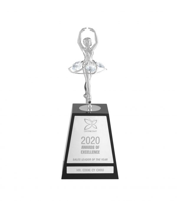 dance team awards​