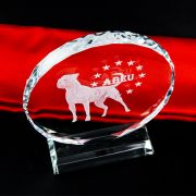 dog trophy​