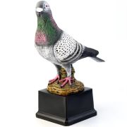 dove award