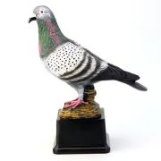 dove award