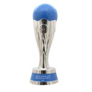 football soccer trophy