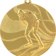 gold medal skiing​