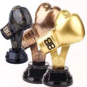 golden glove award boxing​