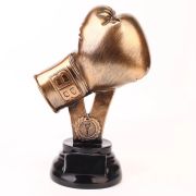 golden glove award boxing​