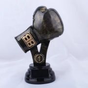 golden glove award boxing​