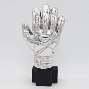 golden glove award soccer